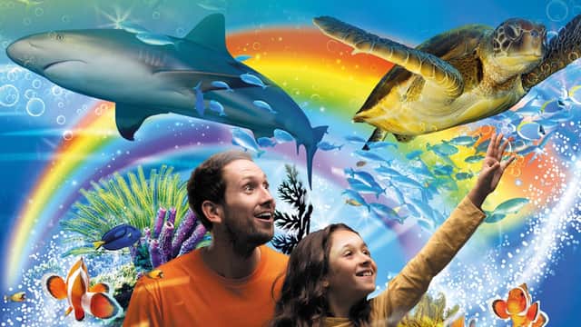 Scarborough SEA LIFE Sanctuary - Aquariums in scarborough