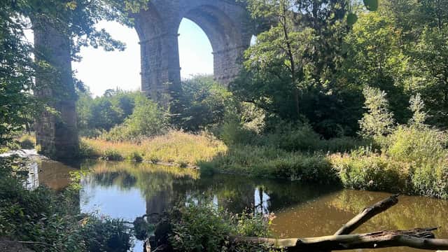 Nidd Gorge Viaduct rises above a tranquil river surrounded by lush greenery and wildflowers.