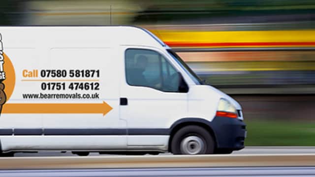 Bear Removals - Removal Companies in pickering