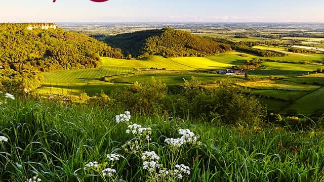 Lush green hills and fields under a clear blue sky at Sutton Bank, with the North York Moors logo in the corner.