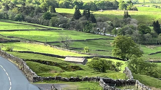 Scenic view of lush green hills, stone walls, and a winding road near Shaw Ghyll Caravan and Camping in North Yorkshire.