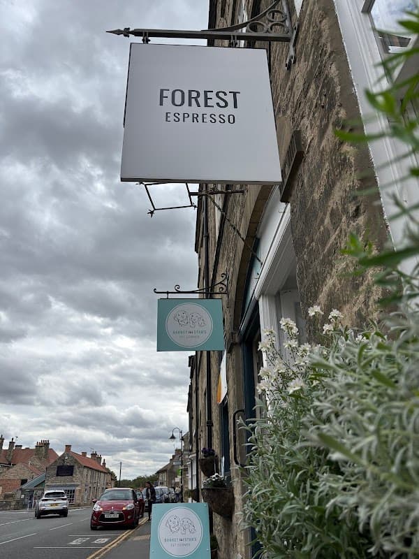 Forest Espresso