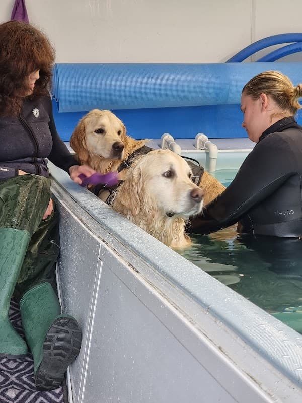 Black Dog Hydrotherapy