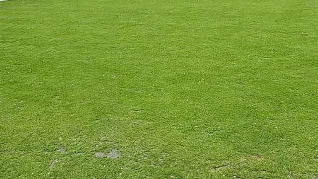 Lush green bowling green with a clubhouse in the background and people gathered under trees in Clayton West, Yorkshire.