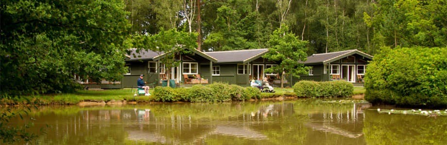Great Wood Eco Lodges