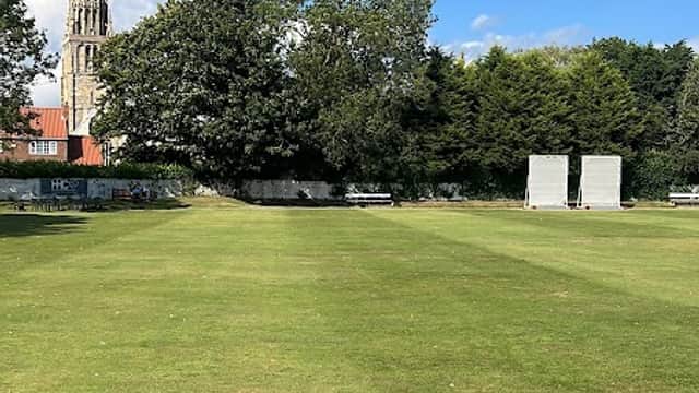 Cricket field with two wickets, lush grass, trees, and a church spire under a blue sky in Patrington, Yorkshire.