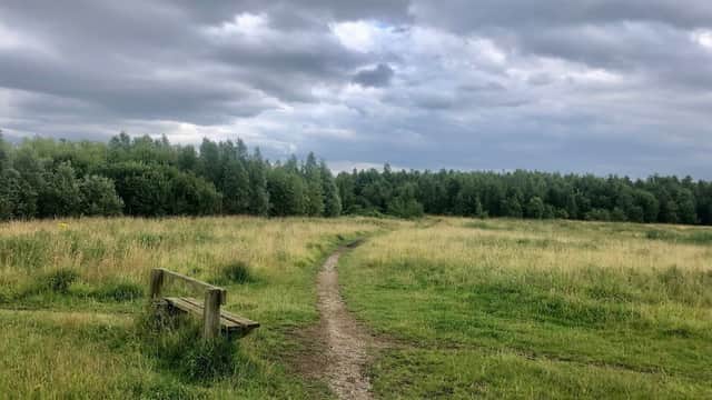 Brookfield's Park Landscape Area - Park in wath upon dearne