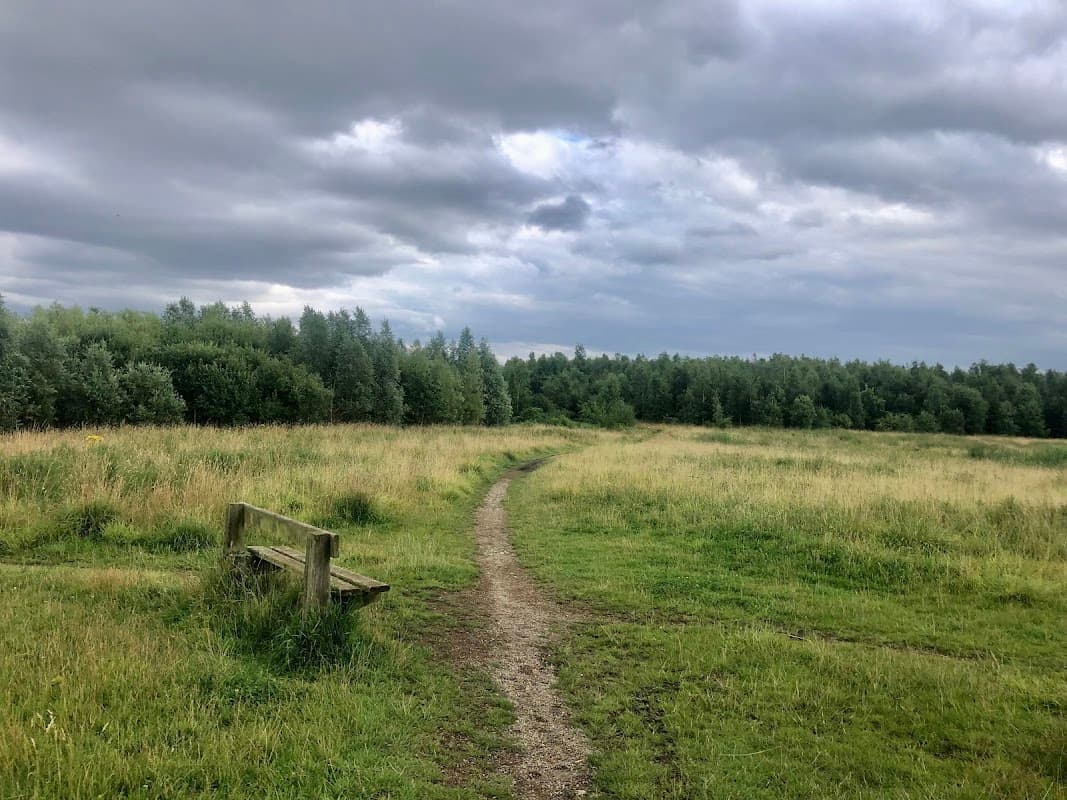 Brookfield's Park Landscape Area