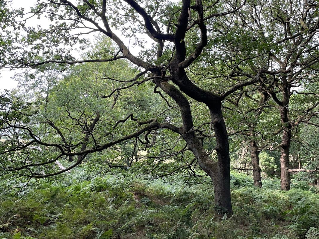 Gregory Spring