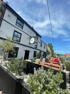 De Alma - The Swan