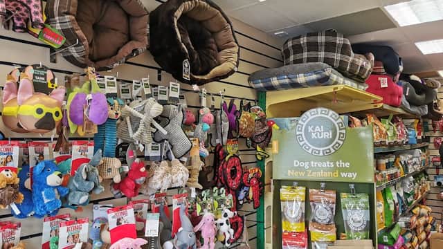 Colorful pet toys and treats displayed on shelves, with cozy dog beds hanging above in a pet shop setting.