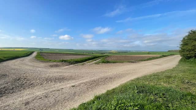 A rural landscape with a forked dirt path, fields, and a clear blue sky in Kirby Grindalythe, Yorkshire.