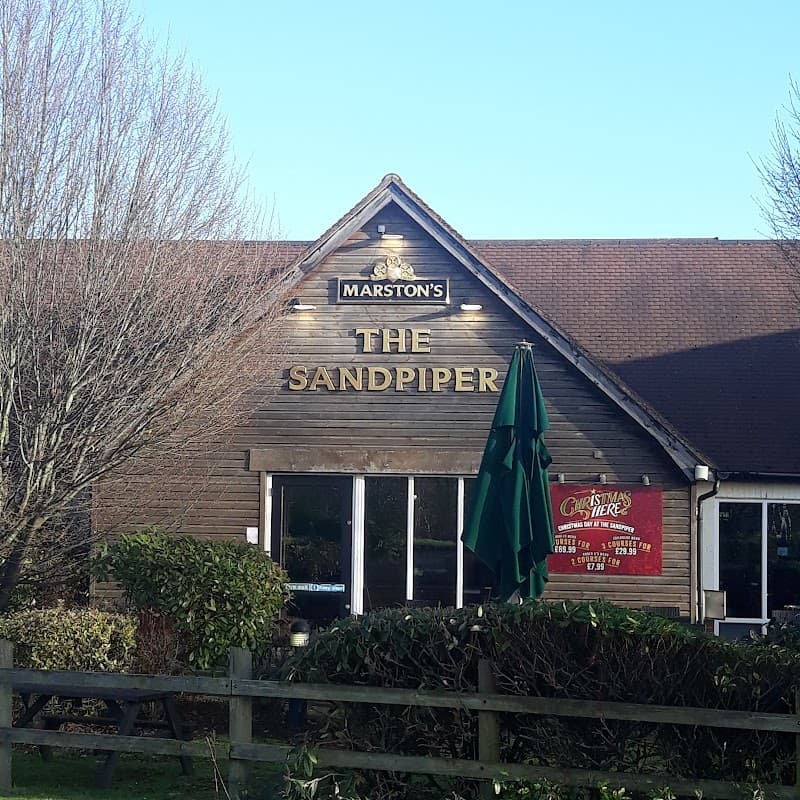 Sandpiper