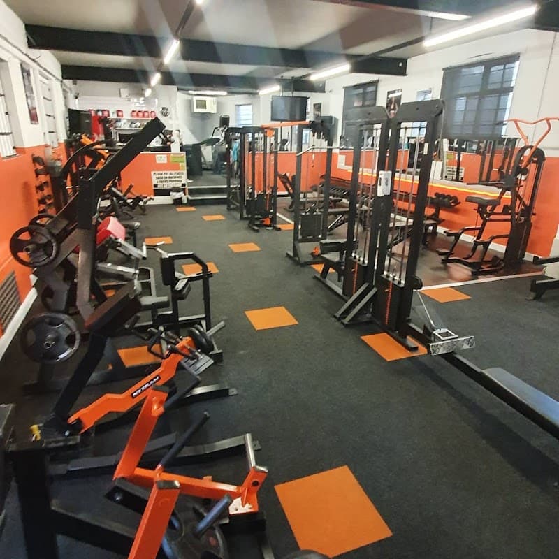 Muscle Madness Bodybuilding and fitness gym Ltd