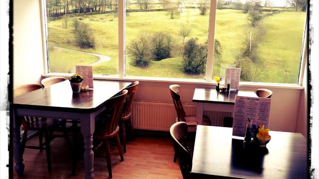 Cozy tea room with wooden tables, chairs, and large windows showcasing green hills and a winding path outside.