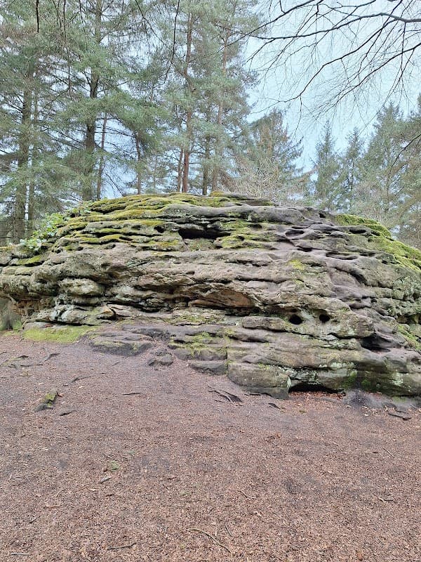 Adder Stone