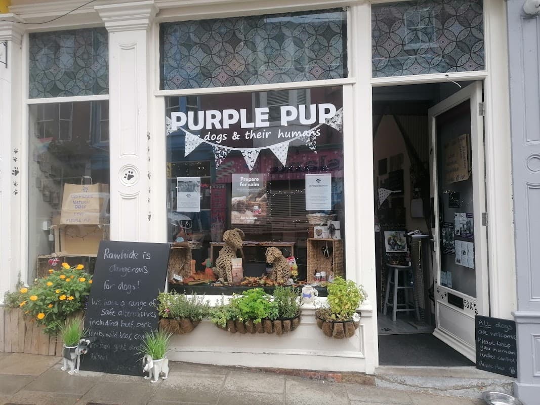 Purple Pup for dogs and their humans (Yorkshire's first canine enrichment shop)