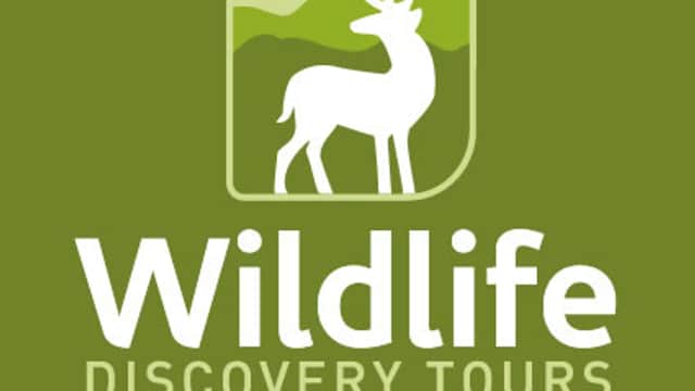Wildlife Discovery Tours - Tour in scorton