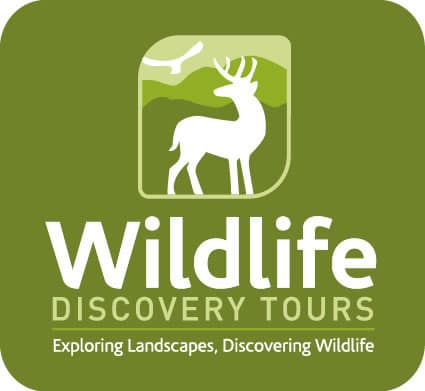 Wildlife Discovery Tours