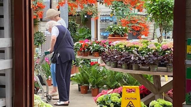 A woman browsing plants in a vibrant nursery filled with colorful flowers and a wet floor sign.