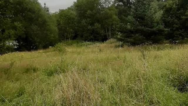 Lush green grass and trees under a cloudy sky at Elsecar Station Car Park in Yorkshire.