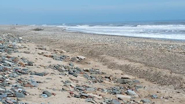 A sandy beach with scattered pebbles and gentle waves under a clear blue sky.