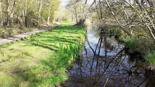 Askham Bog Nature Reserve - Nature Reserves in york