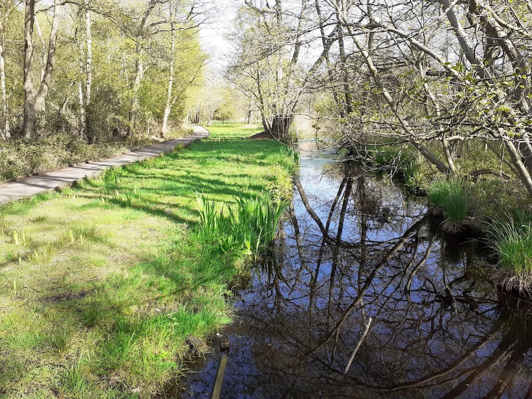 Askham Bog Nature Reserve
