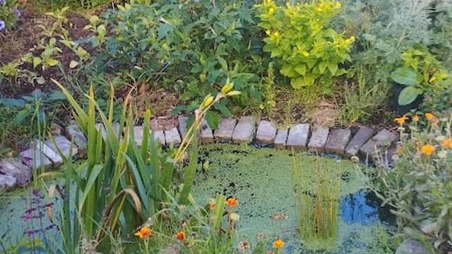 Thorngumbald Parish Allotments - Garden in thorngumbald