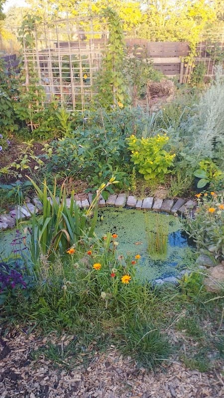 Thorngumbald Parish Allotments