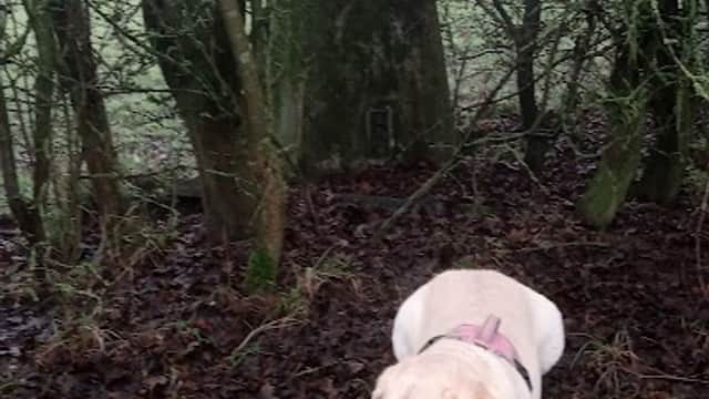 Brown Moor Trig point - Historic Site in garforth