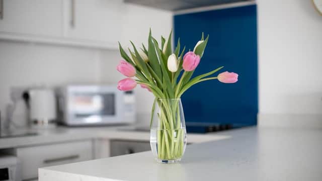 Accommodation at Sea Front Apartment in marske