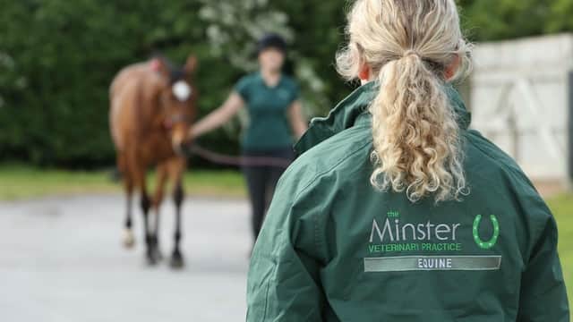 Minster Equine Practice, Malton - Vets in malton