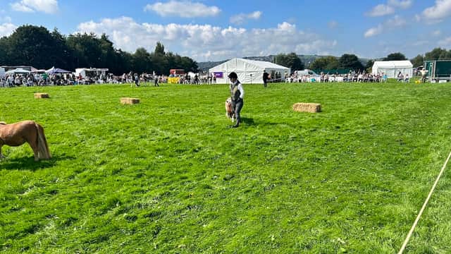 Marley Playing Fields - Sports Venue in keighley