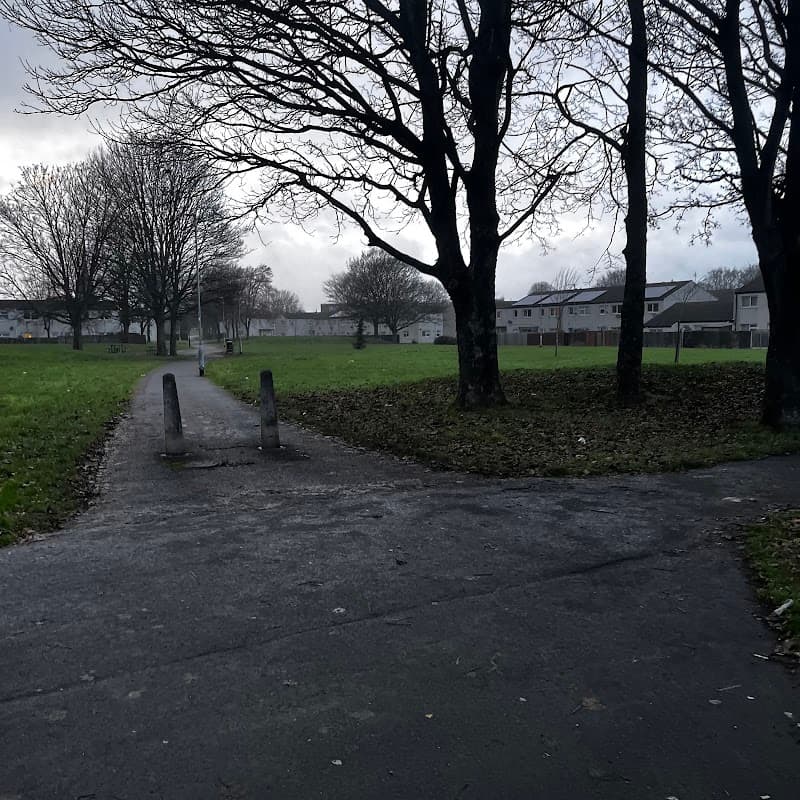 Hunslet Common