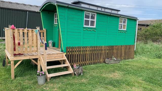 Accommodation at Butt Farm Caravan, Campsite & Glamping in beverley