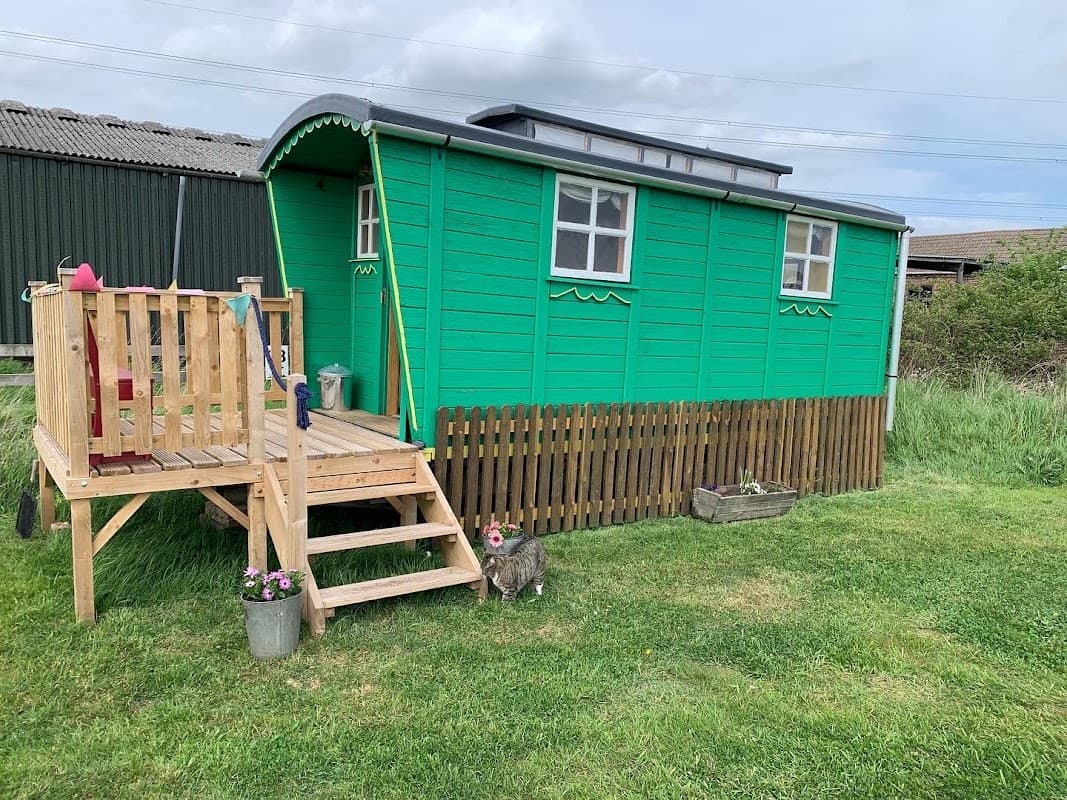 Butt Farm Caravan, Campsite & Glamping