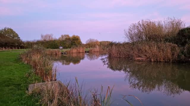 Tranquil moat pond surrounded by lush greenery and tall reeds under a pastel sunset sky in Aldbrough, Yorkshire.