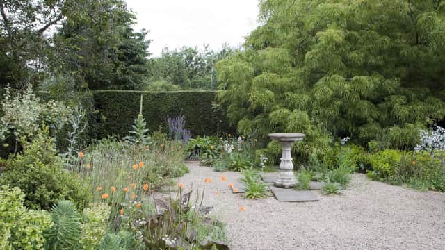 Stillingfleet Lodge Gardens and Nurseries - Garden in stillingfleet