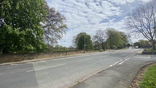 A quiet road lined with trees and a stone wall, under a partly cloudy sky at Rectory Park, Thornhill.