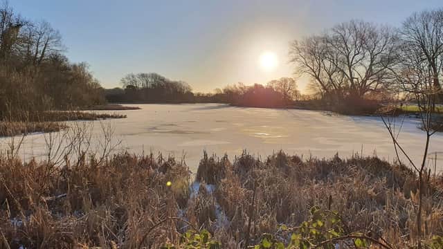 Frozen pond reflecting the sun, surrounded by bare trees and frosty vegetation under a clear blue sky.