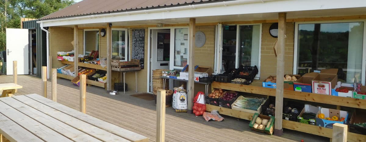 Fresh produce displayed on wooden shelves outside a shop, with a rustic building and picnic tables in Darley, North Yorkshire.