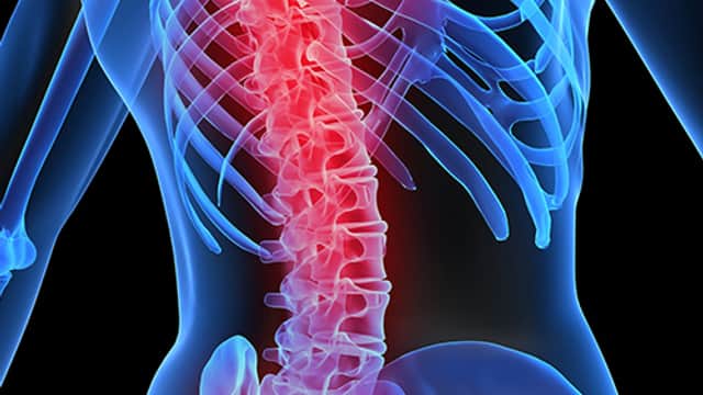 The Physio Clinic - Sports Injury Clinics in greenhill