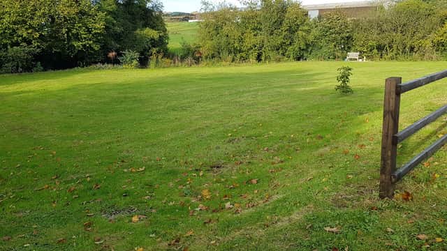 Lush green lawn surrounded by trees and a wooden fence, with a bench in the background under a clear sky.