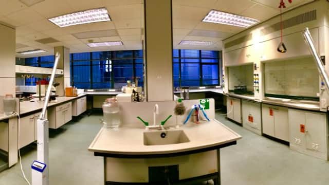 ACE Cells Lab Limited - Medical Labs in maltby
