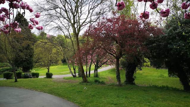 Warmsworth Park - Park in doncaster
