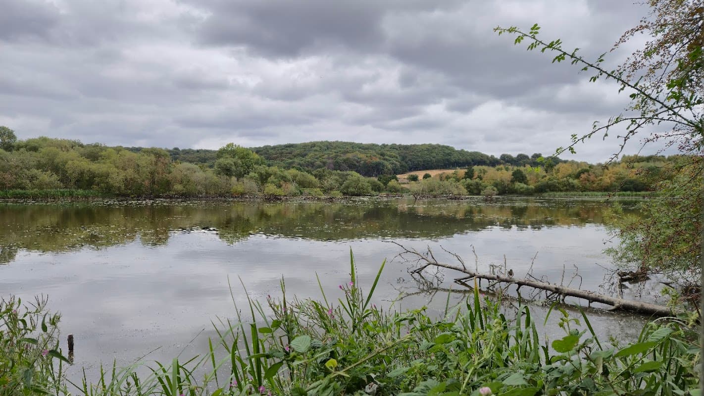 Denaby Ings Nature Reserve