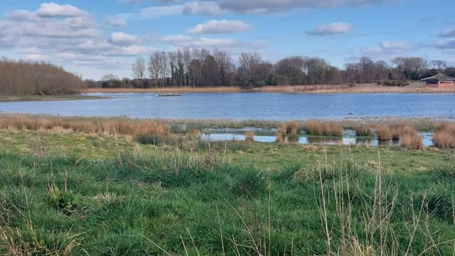 Lush green grass borders a serene lake, surrounded by trees and cloudy blue skies at Staveley Nature Reserve.