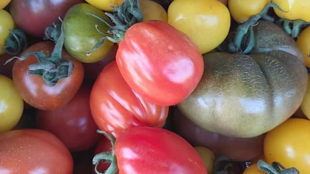 The Fruit Stall - Greengrocers in moortown