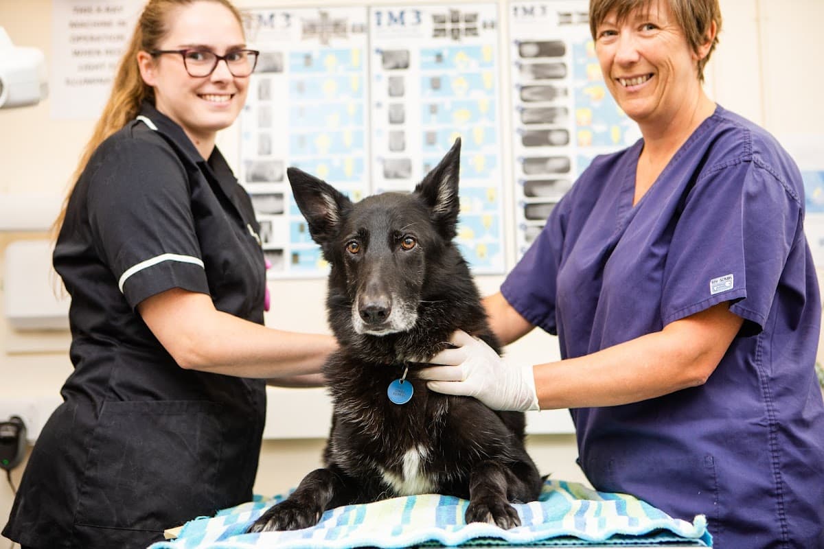 Kingston Veterinary Group - Beverley Road